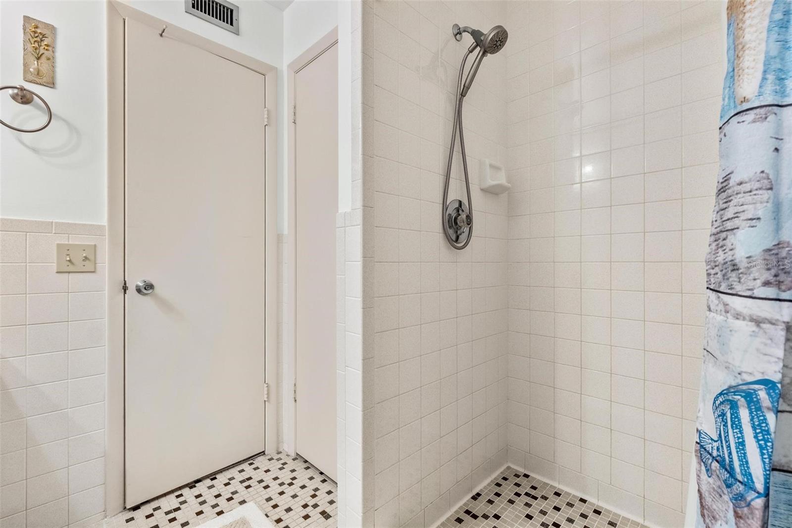 Primary Bathroom, Large Walk-in shower