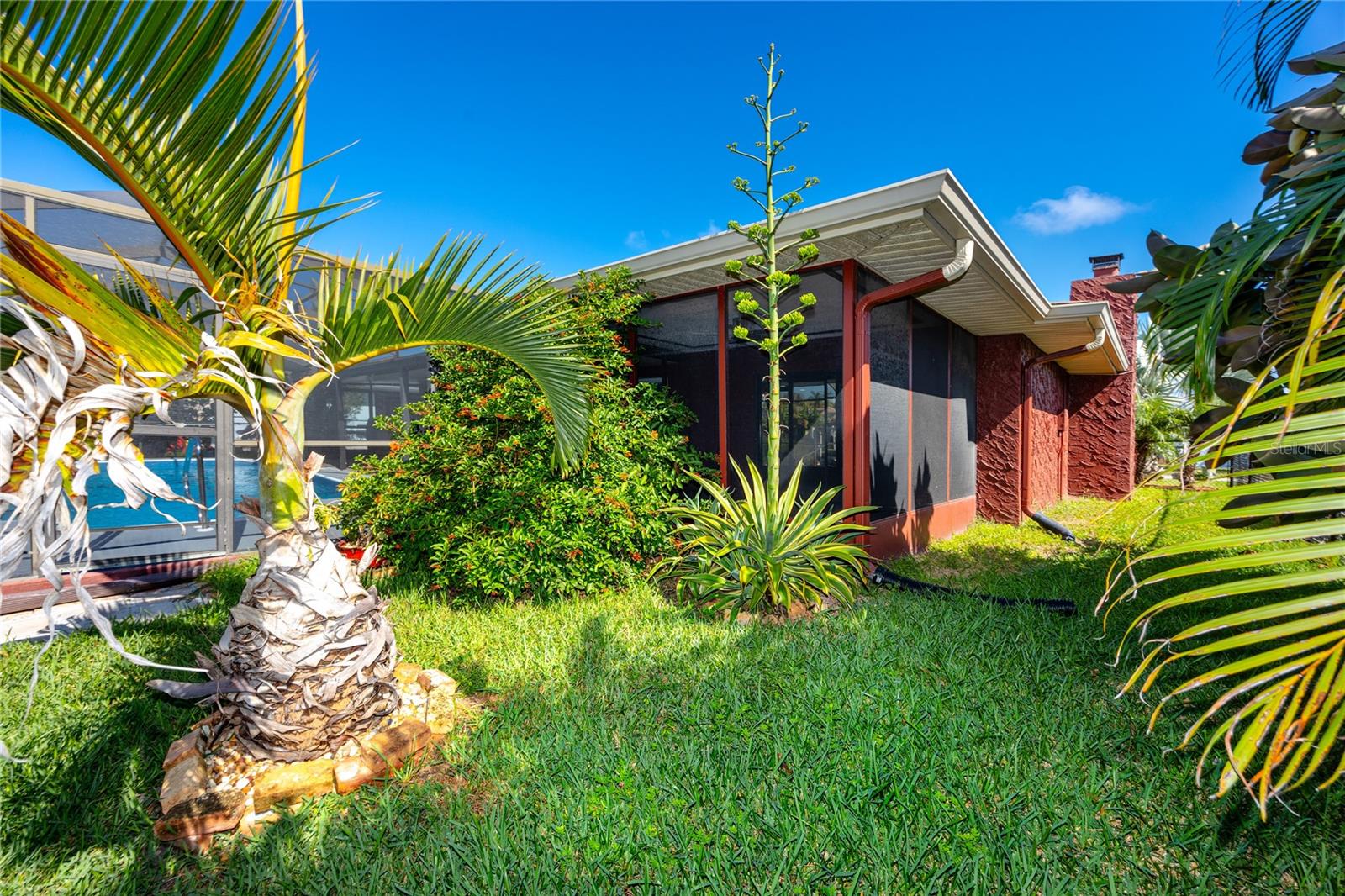 Back Yard -9817 San Sierra Way, Port Richey, FL 34668