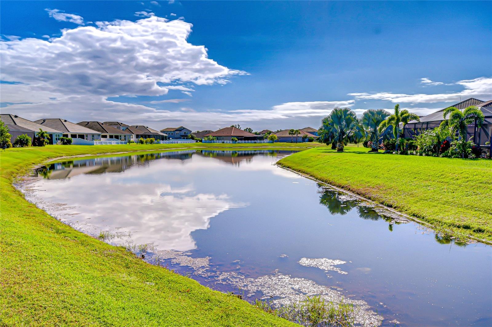 Pond Views – Tranquil & Picturesque