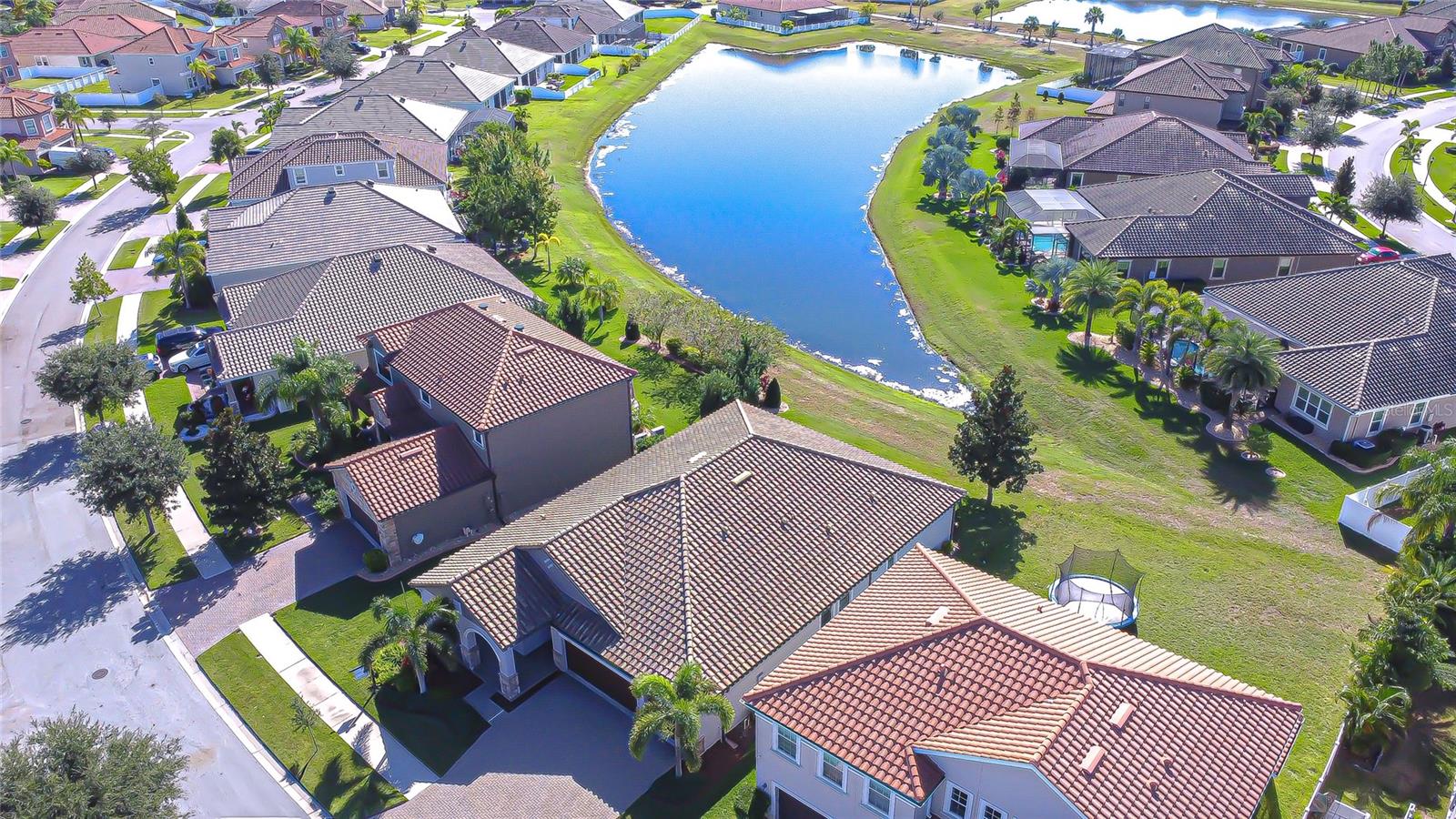 Beautiful Waterleaf Community Location