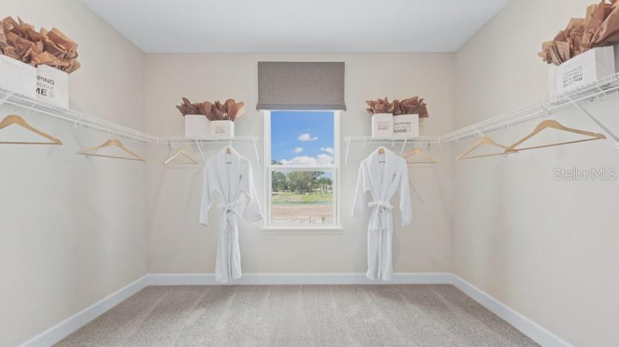 REPRESENTATIVE PHOTO