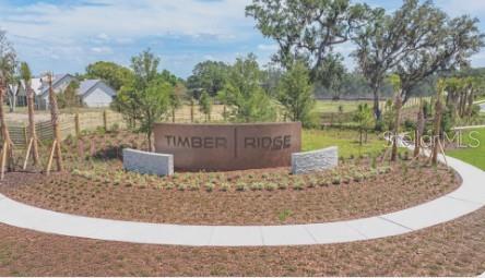 TImber Ridge