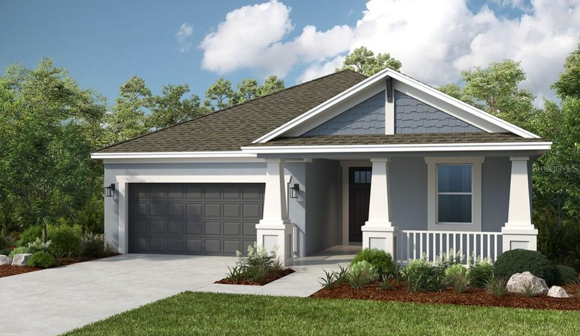 The Aruba - Rendering