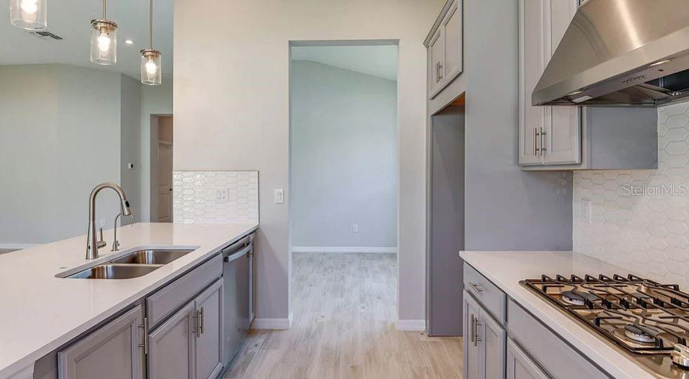 REPRESENTATIVE PHOTOS