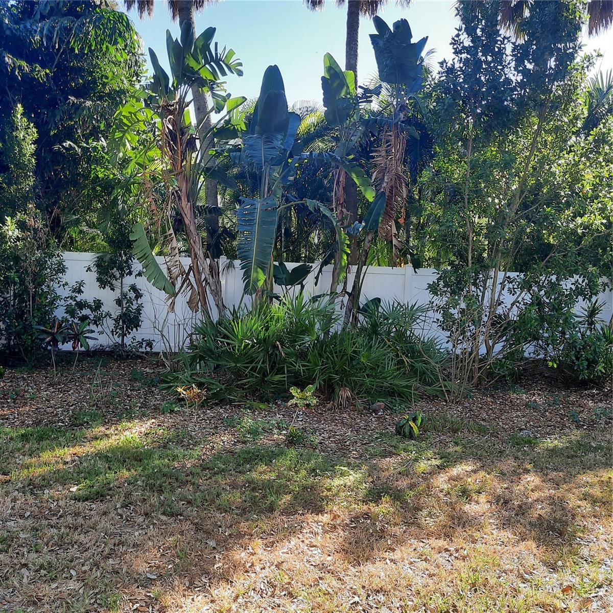 Landscaping buffer along rear fence