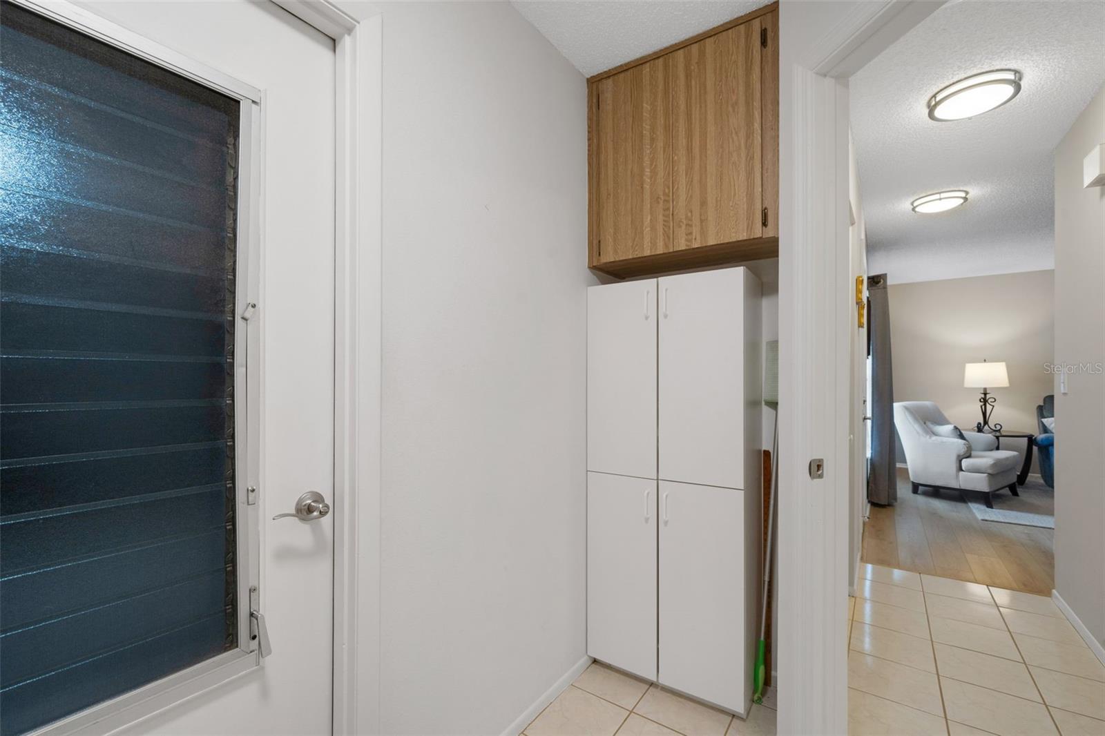 Garage door and storage cabinet