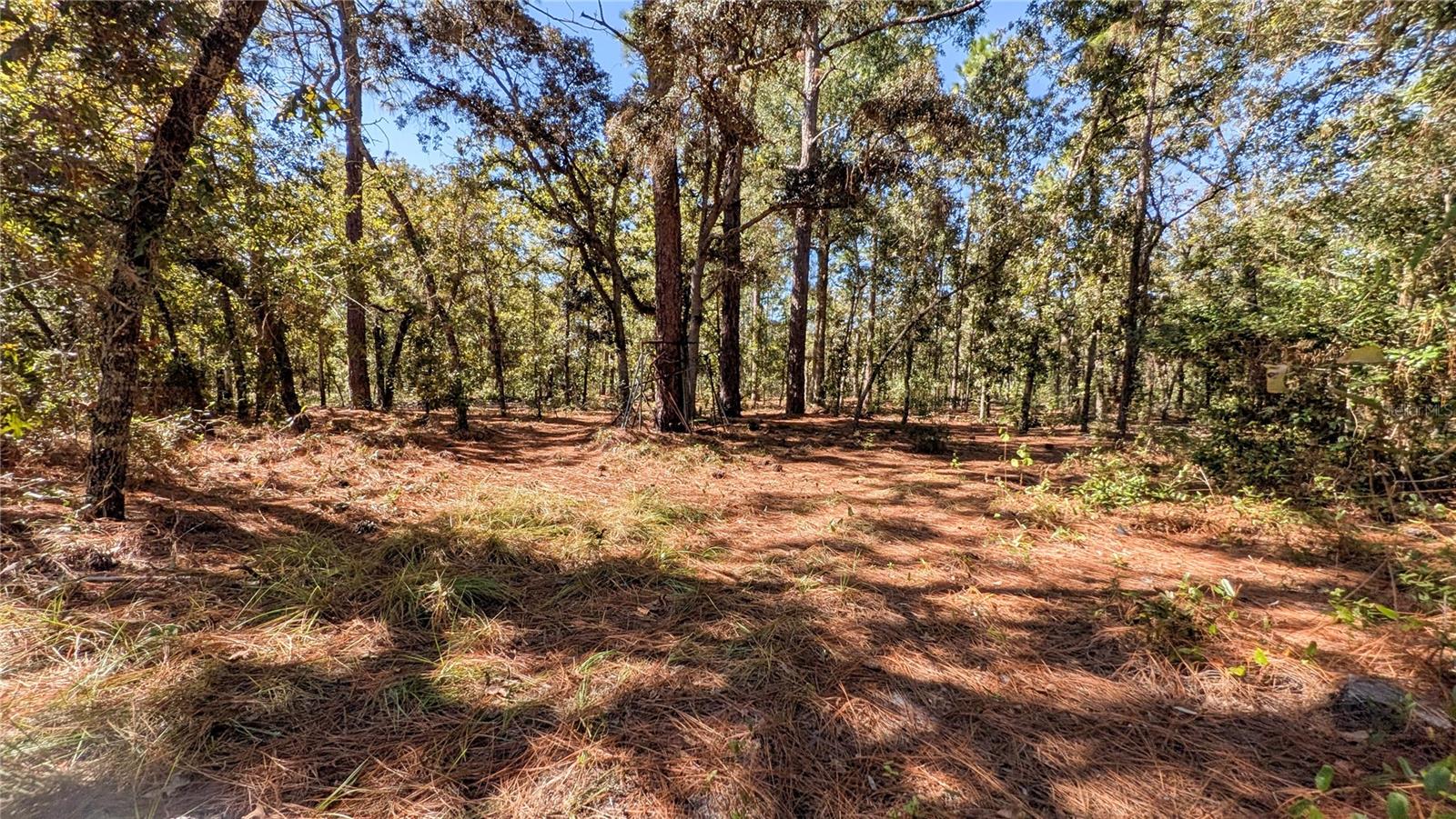 Well with livestock waterer