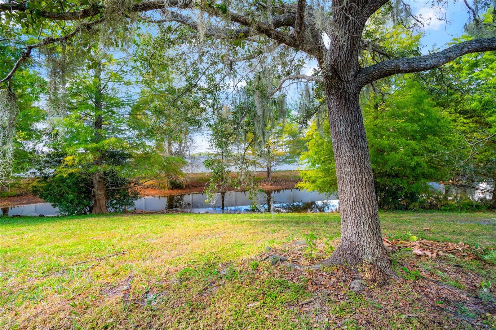 Easy to skip rocks all the way across this pond.