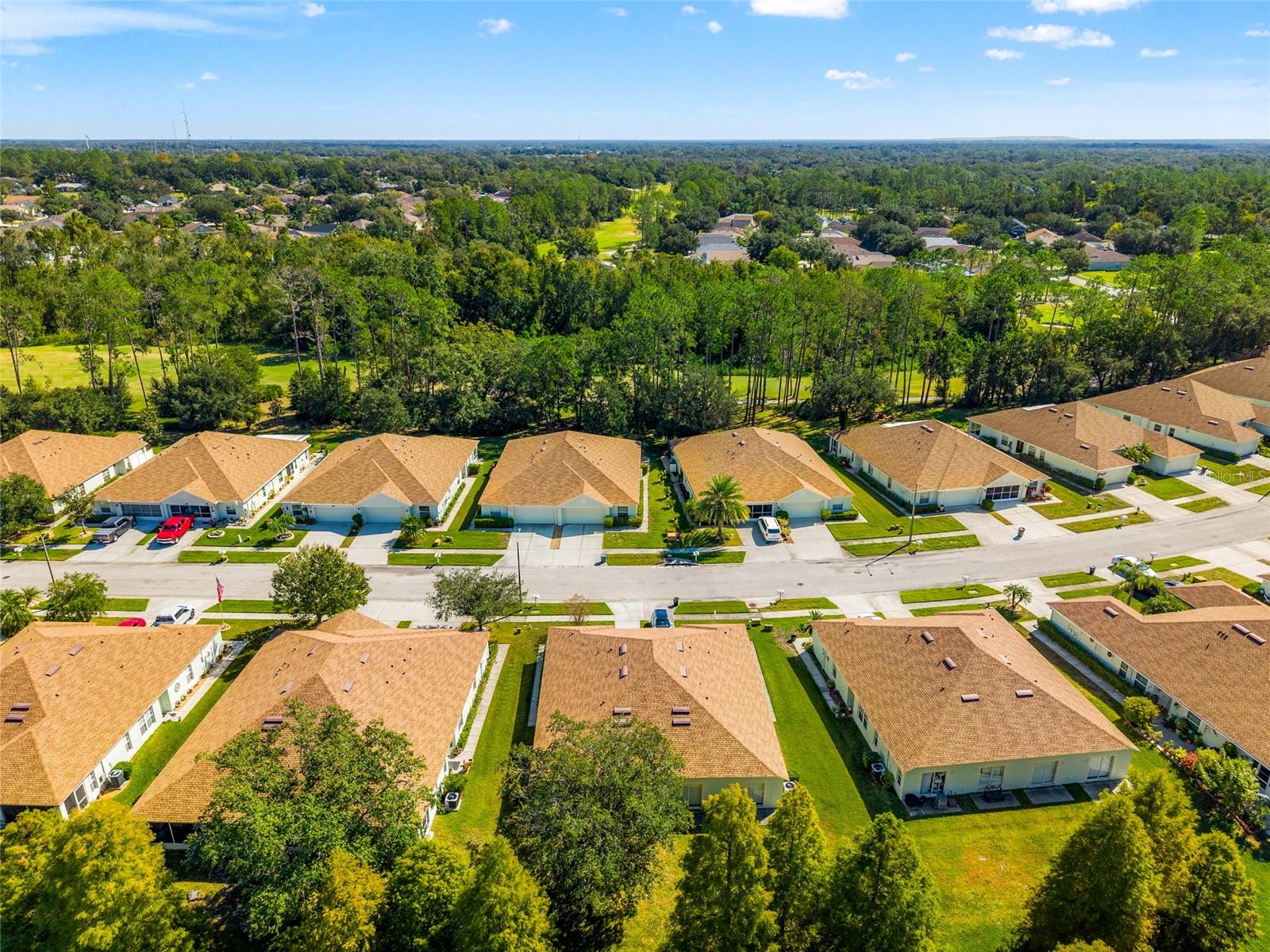 View from a hang-glider.