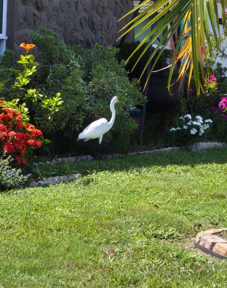 Florida Coastal Lifestyle