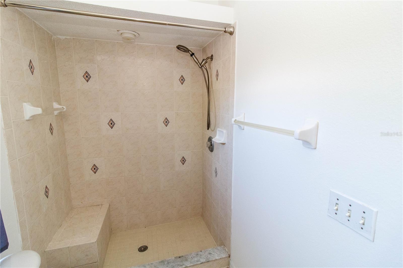 Primary bathroom shower