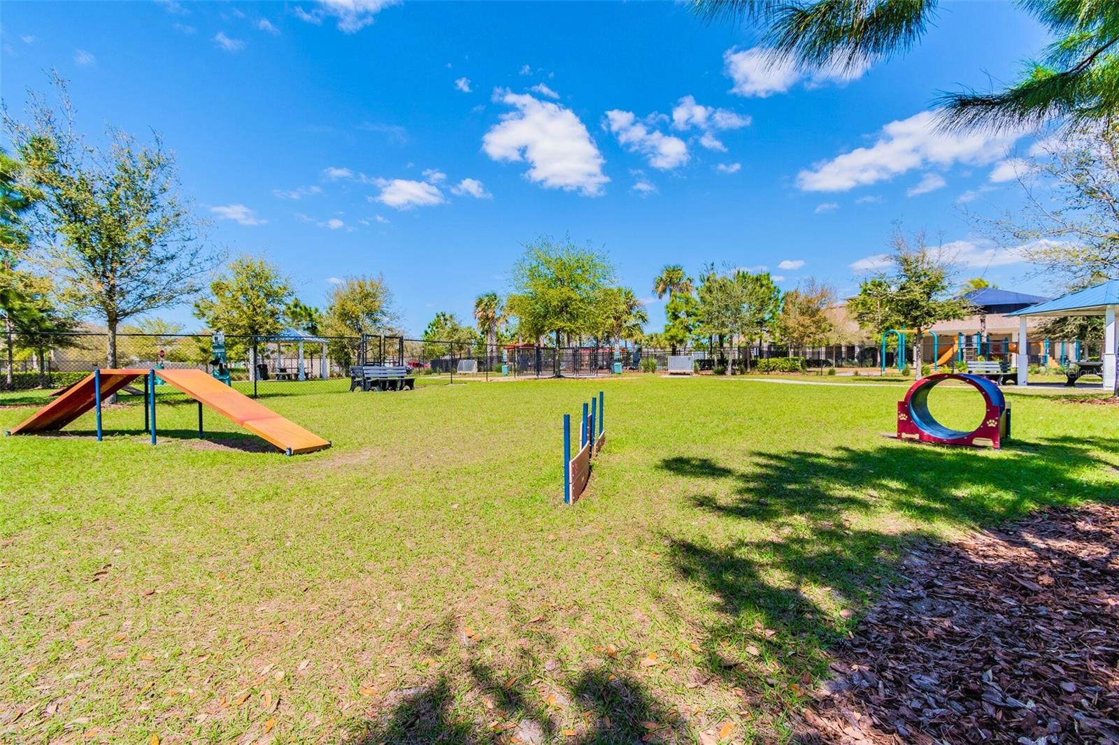 Dog Park