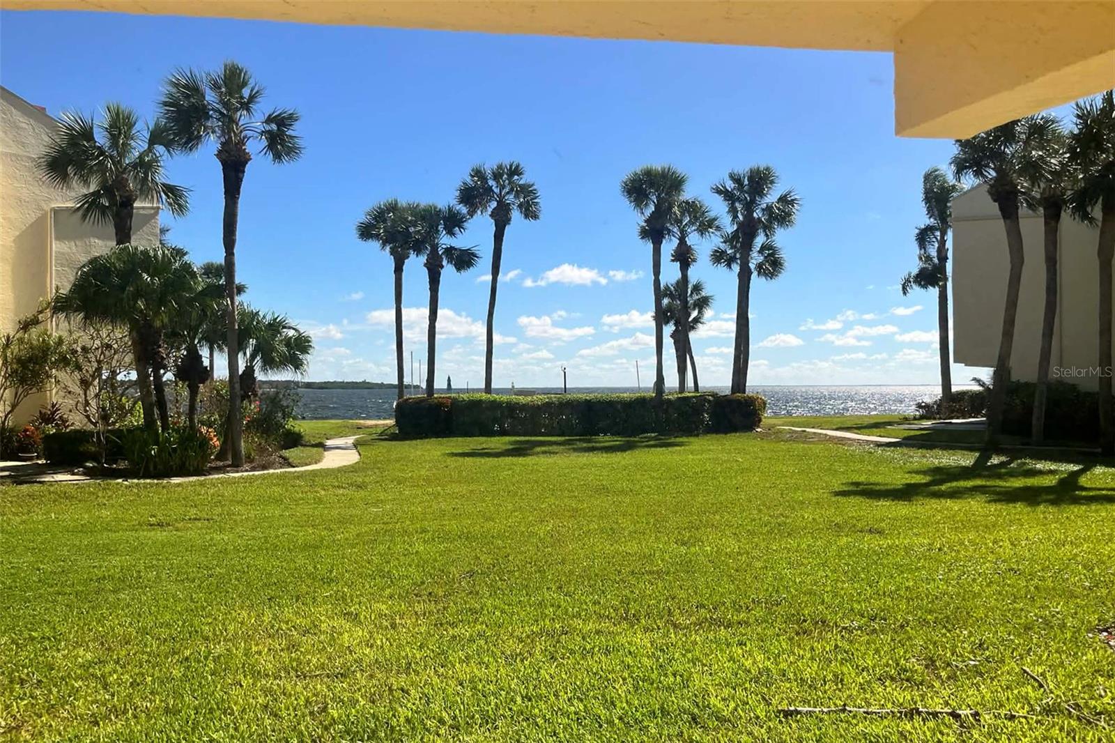 View from Living Area.