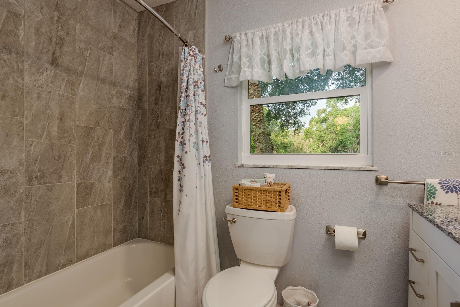 Patio overlooking the pool