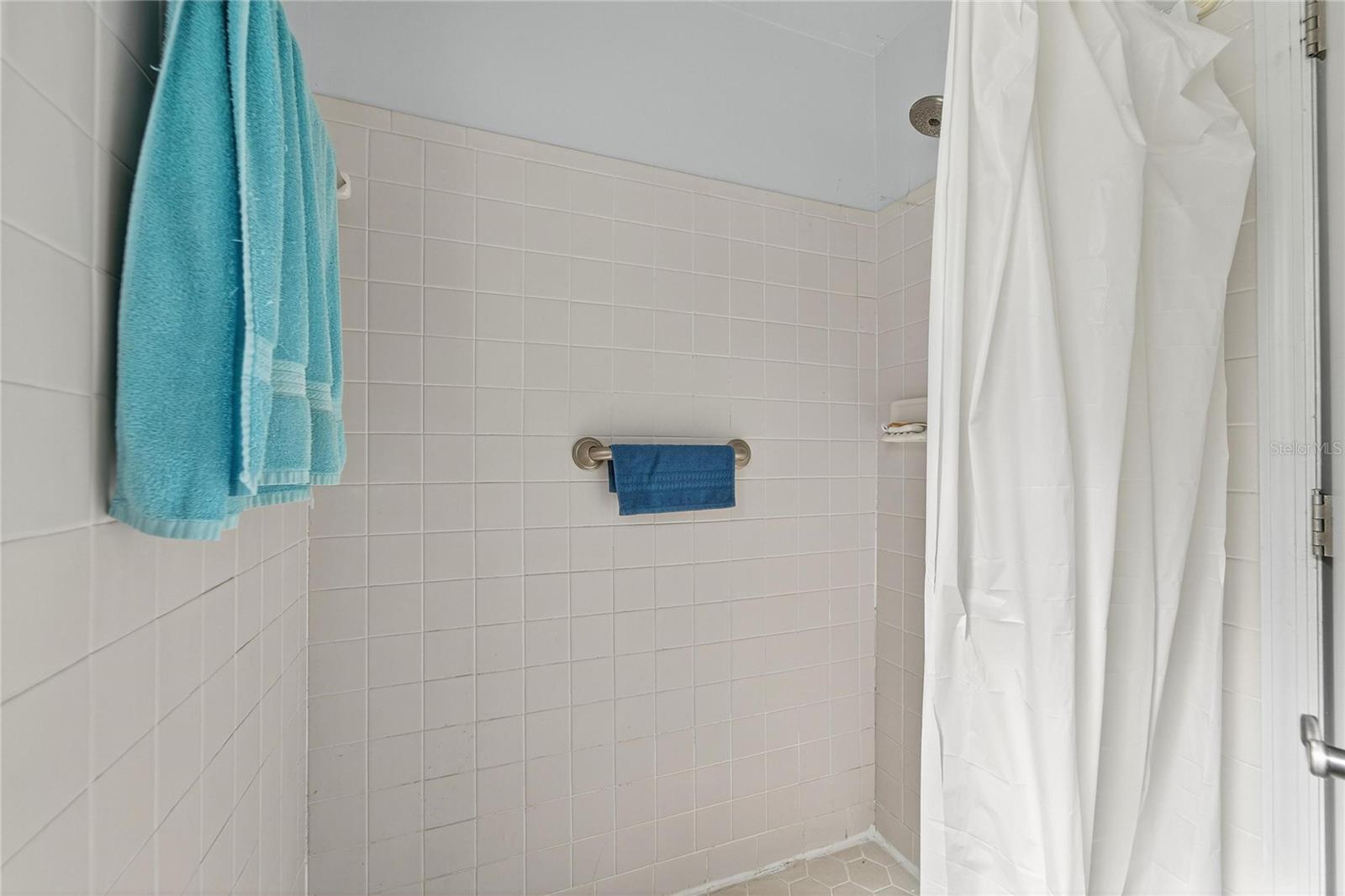 Master bath at 204 Sugar Creek Dr, Plant City