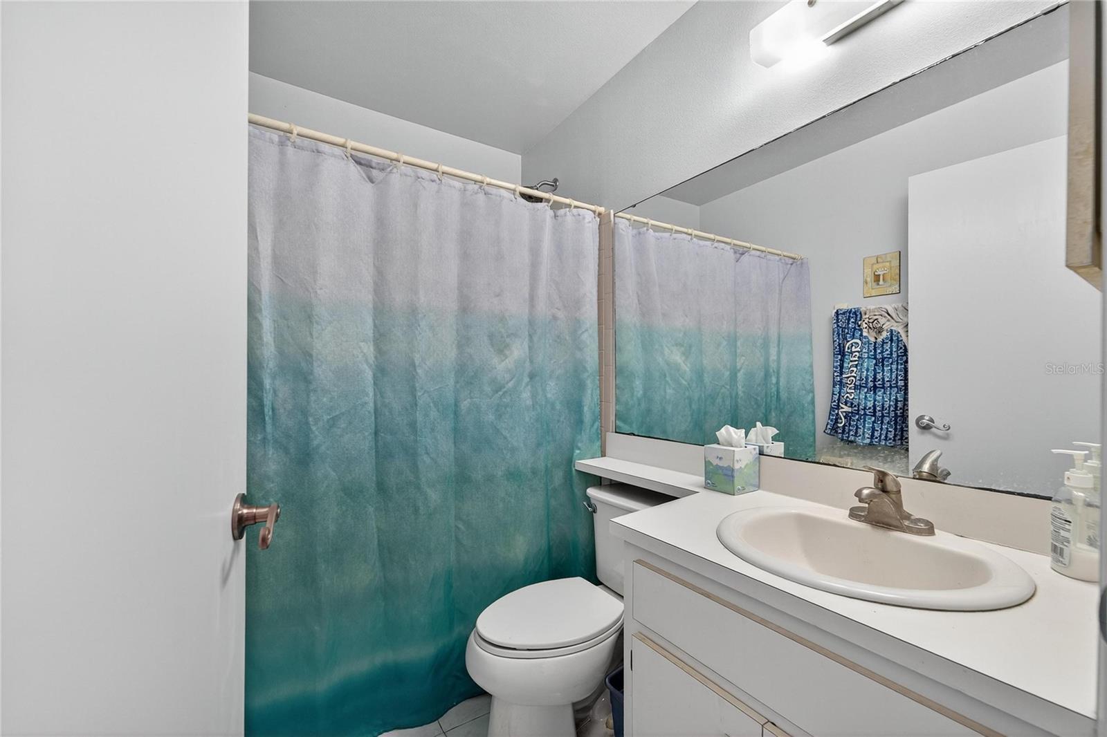 Guest bath at 204 Sugar Creek Dr, Plant City