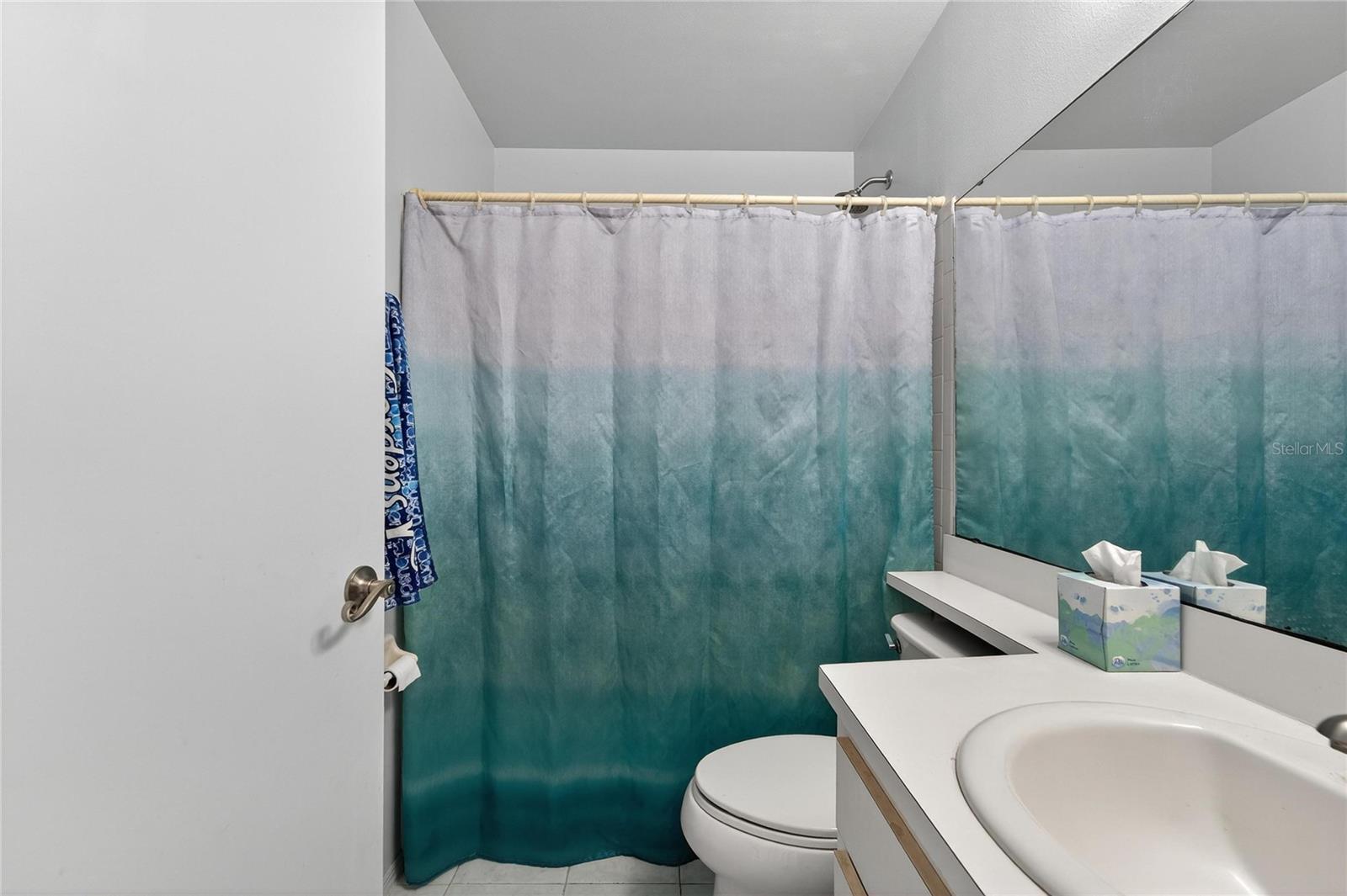 Guest bath at 204 Sugar Creek Dr, Plant City