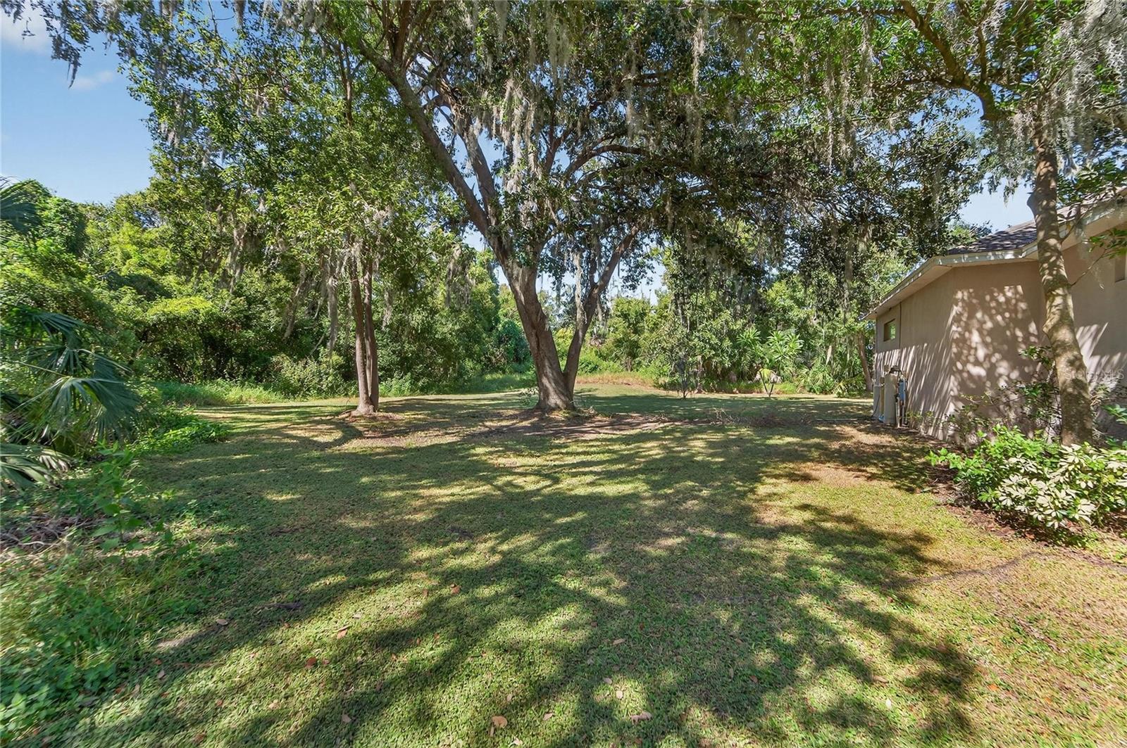 Yard at 332 Holloway Rd, Plant City