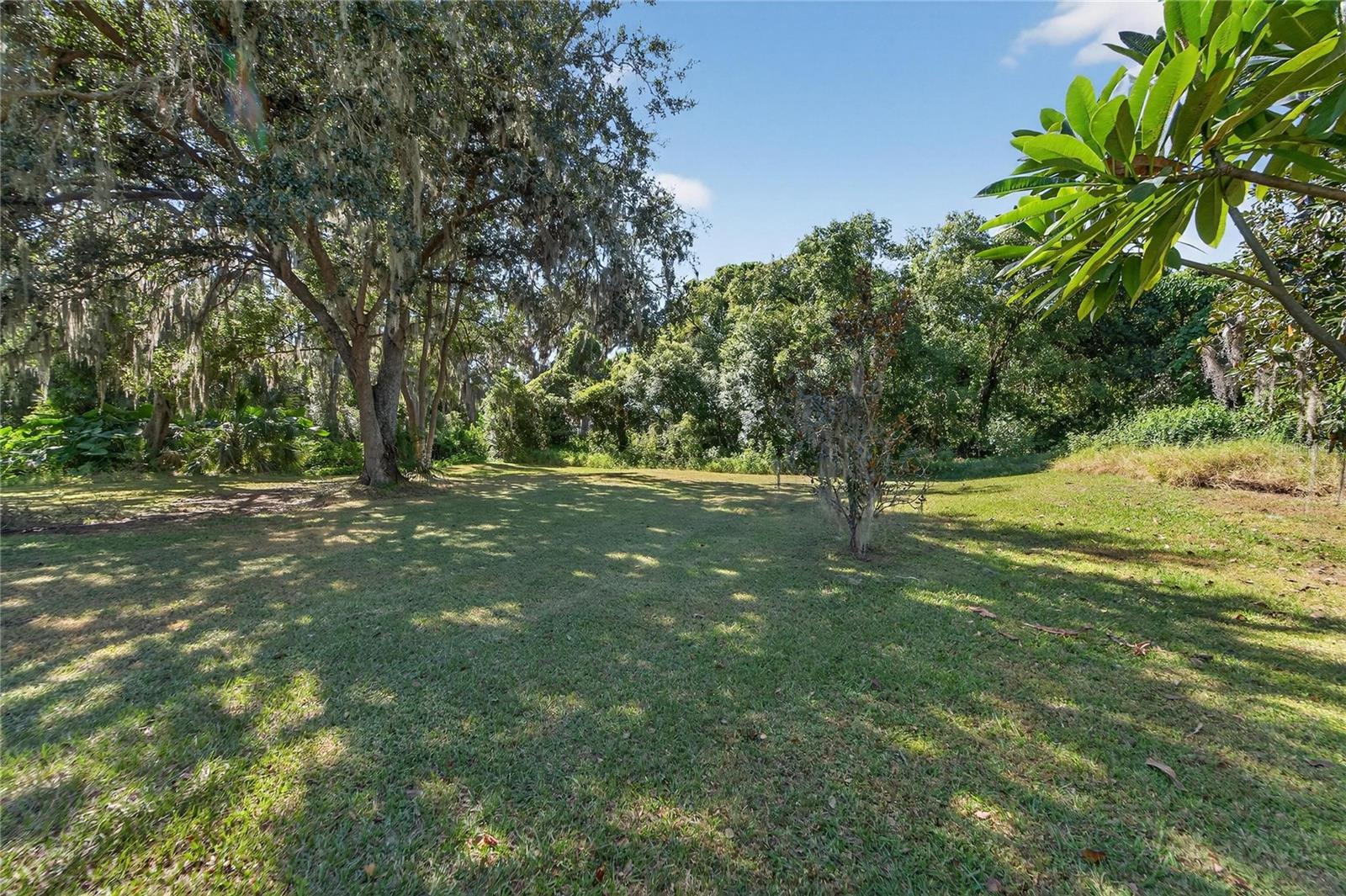 Back yard at 332 Holloway Rd, Plant City