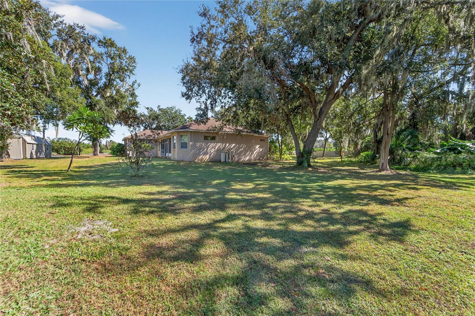 Back yard at 332 Holloway Rd, Plant City