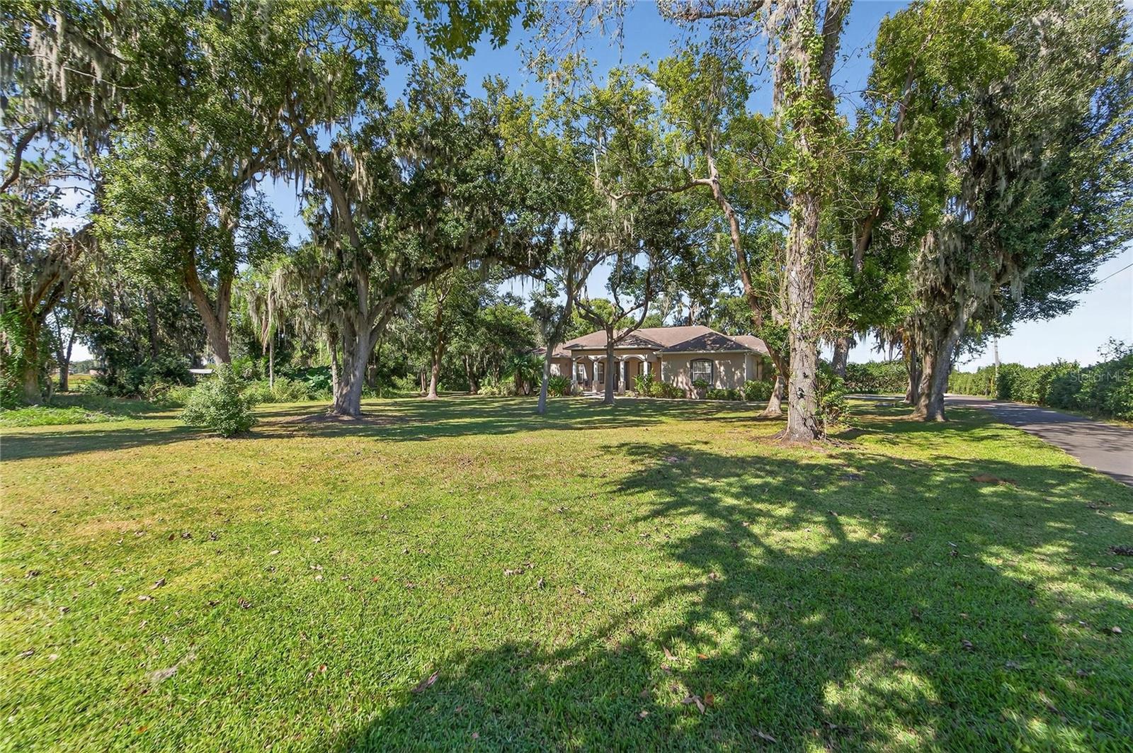 Yard at 332 Holloway Rd, Plant City