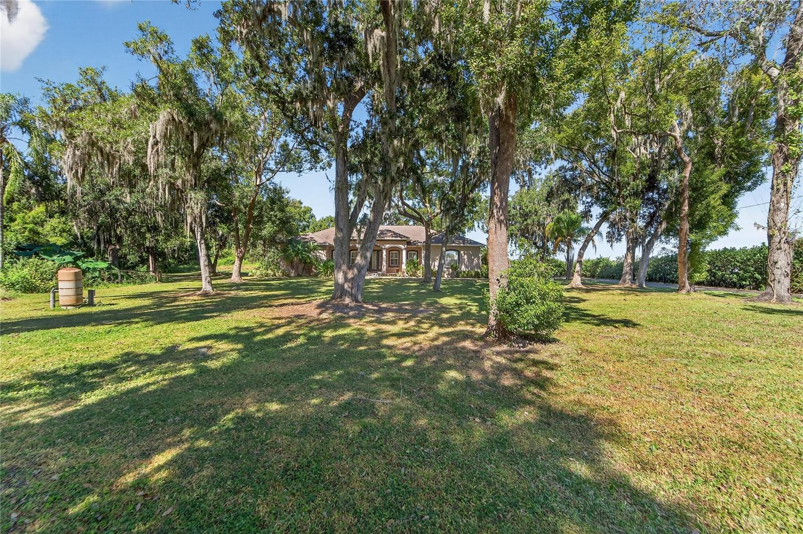 Yard at 332 Holloway Rd, Plant City