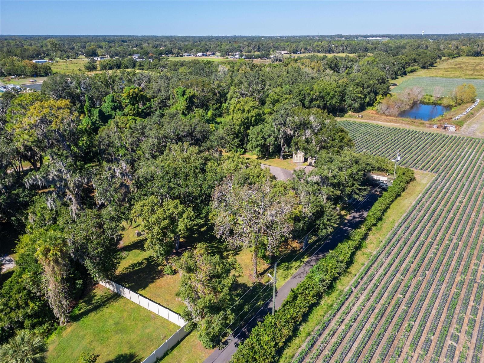 Aerial at 332 Holloway Rd, Plant City