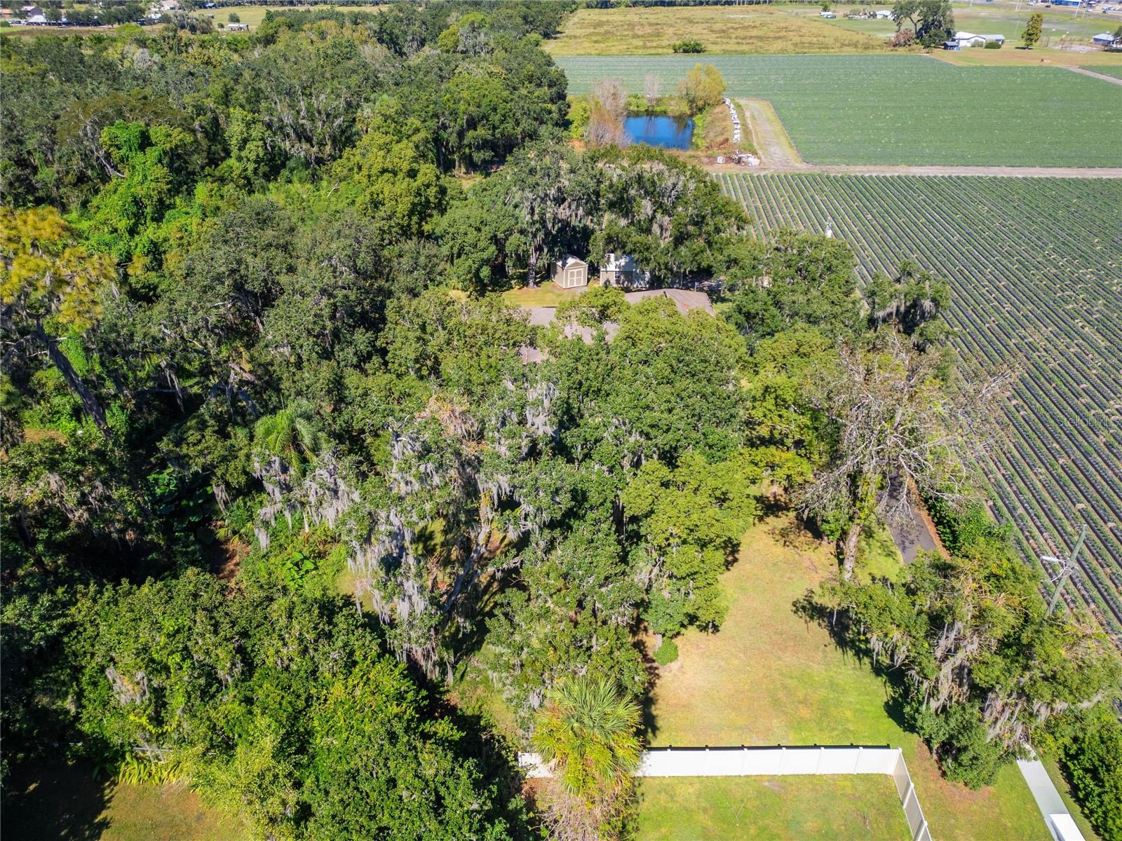Aerial at 332 Holloway Rd, Plant City