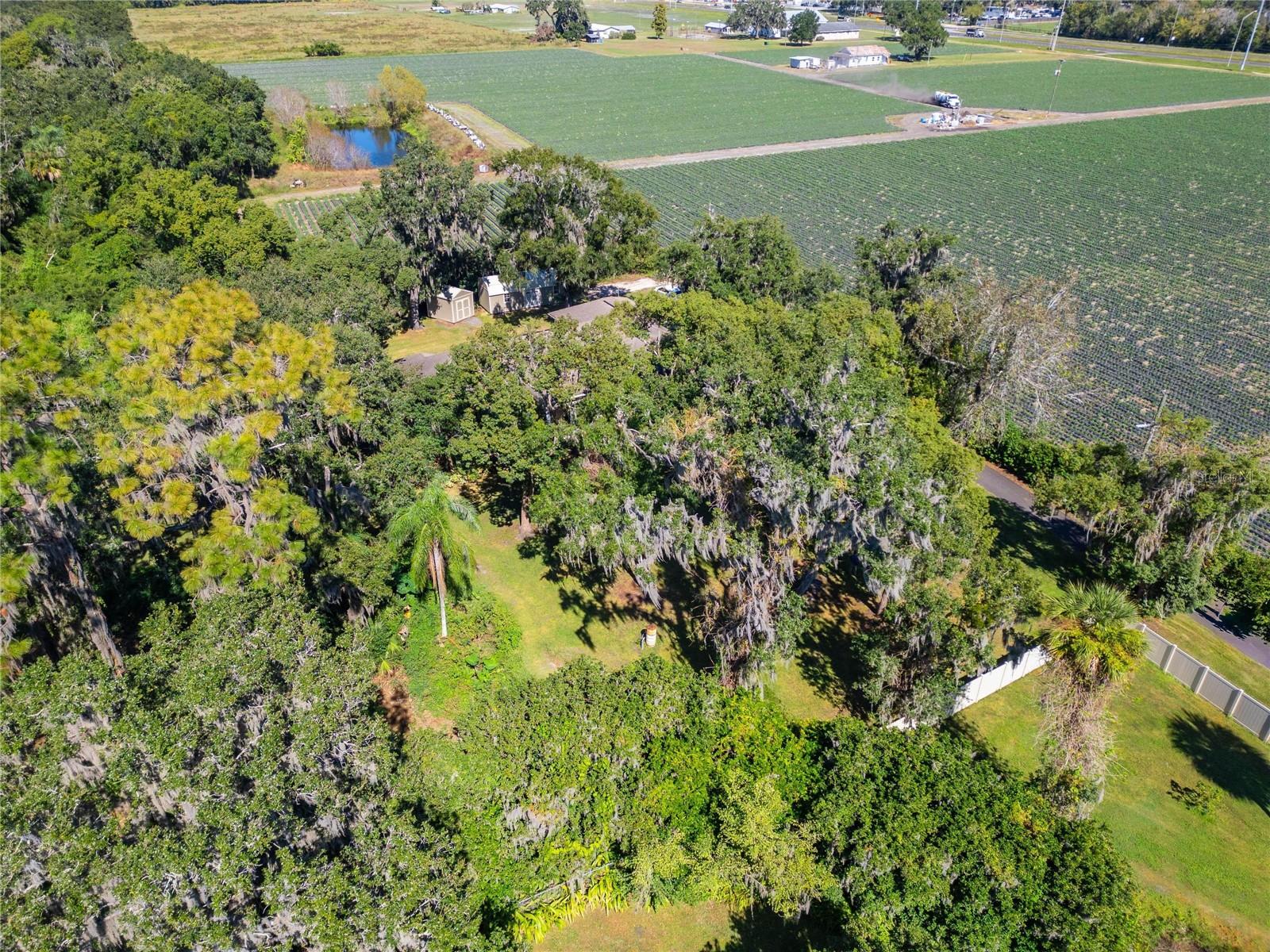 Aerial at 332 Holloway Rd, Plant City