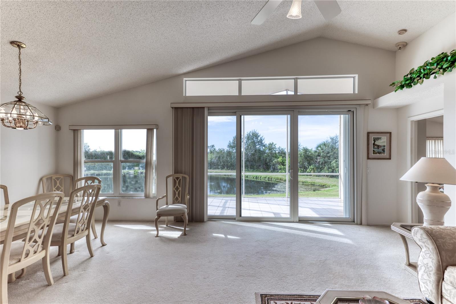 Dining/Living Room Views