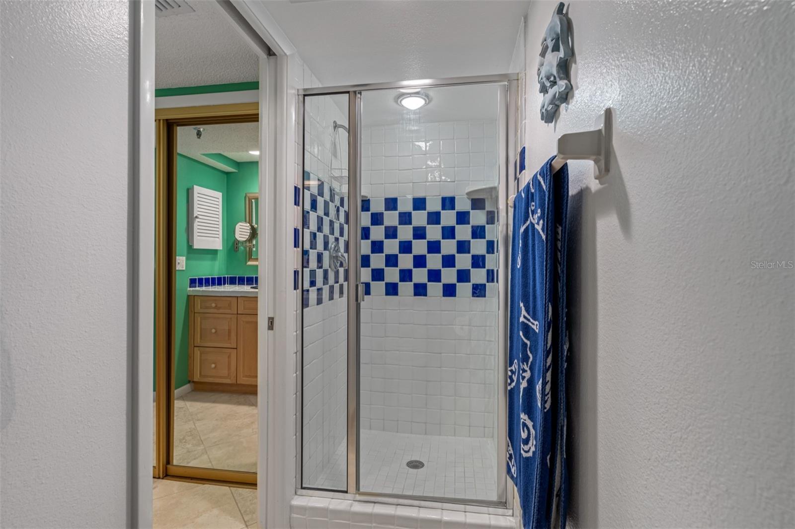 ... Master Walk in Shower..