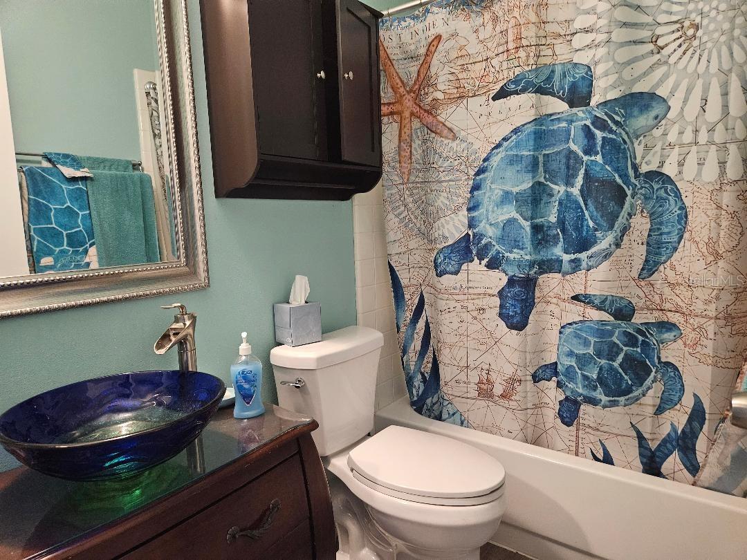 Guest bathroom