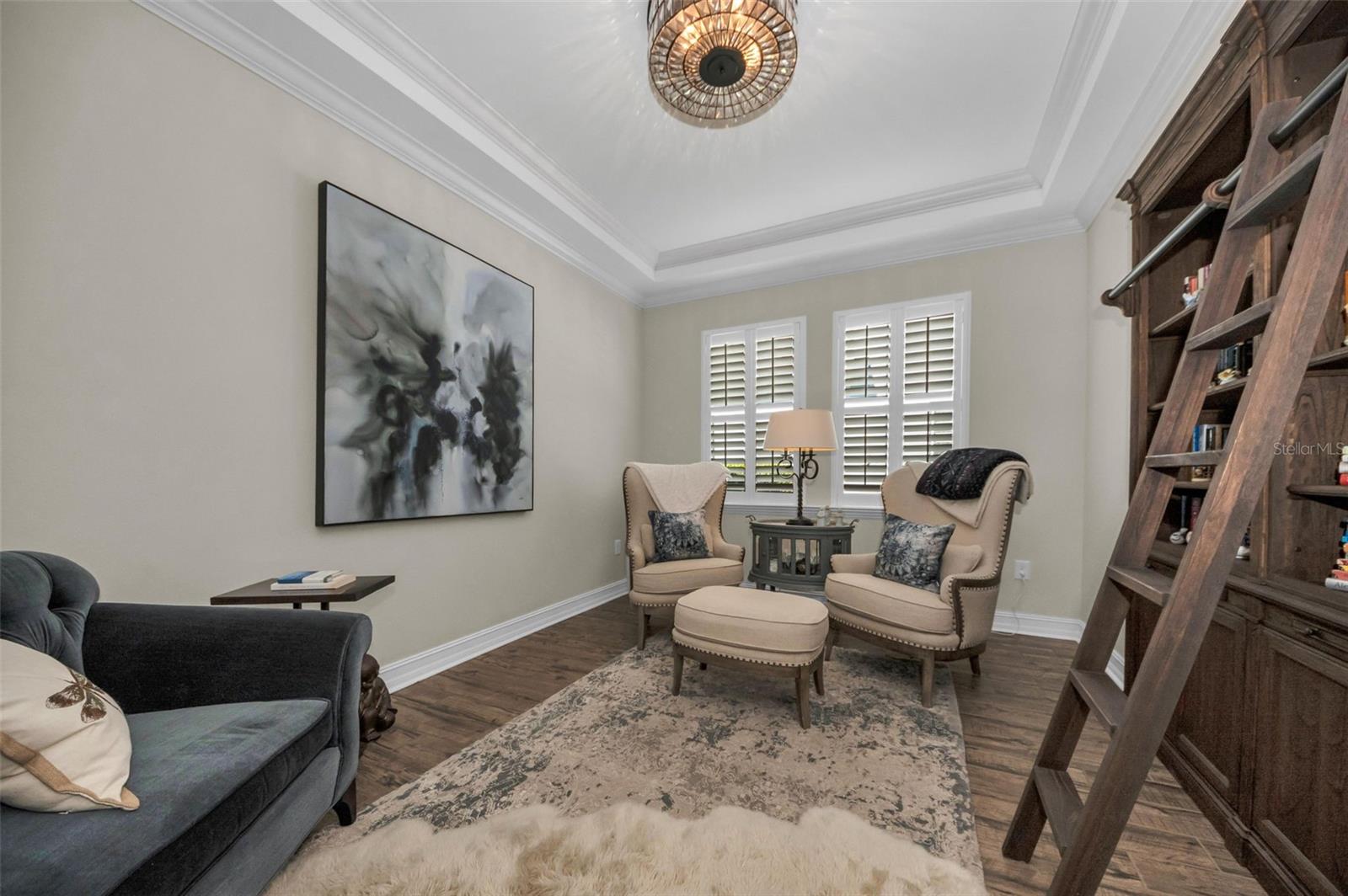 Trey Ceiling with Crown Molding - Plantation Shutters