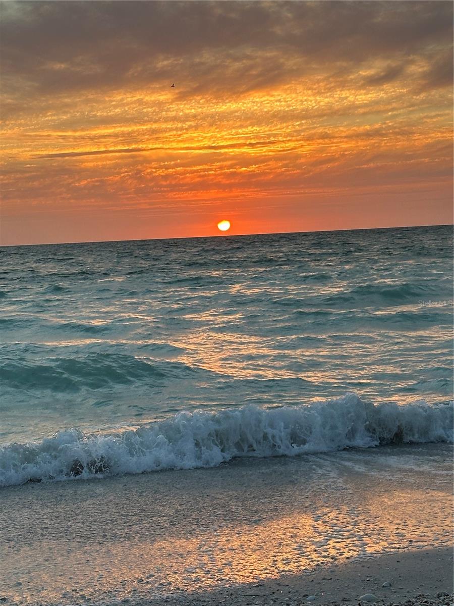 Searching for the green flash