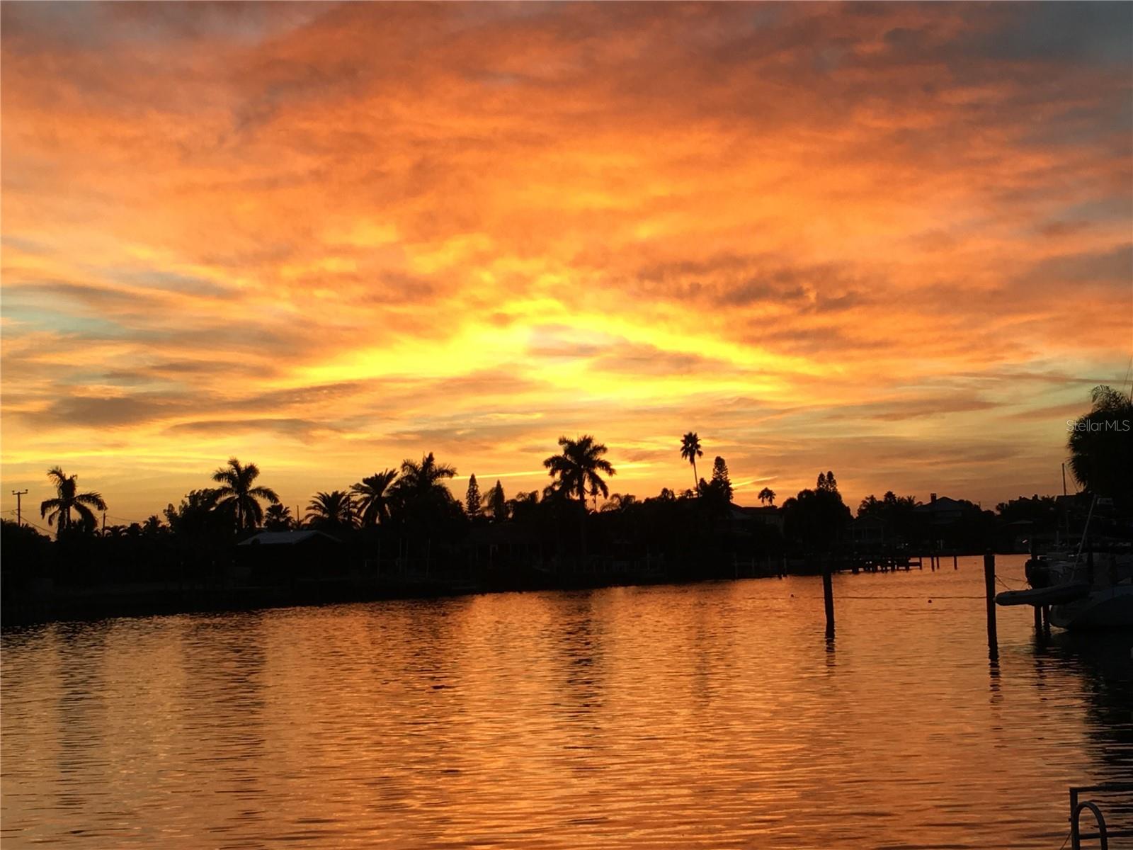 Palm tree framed sunset