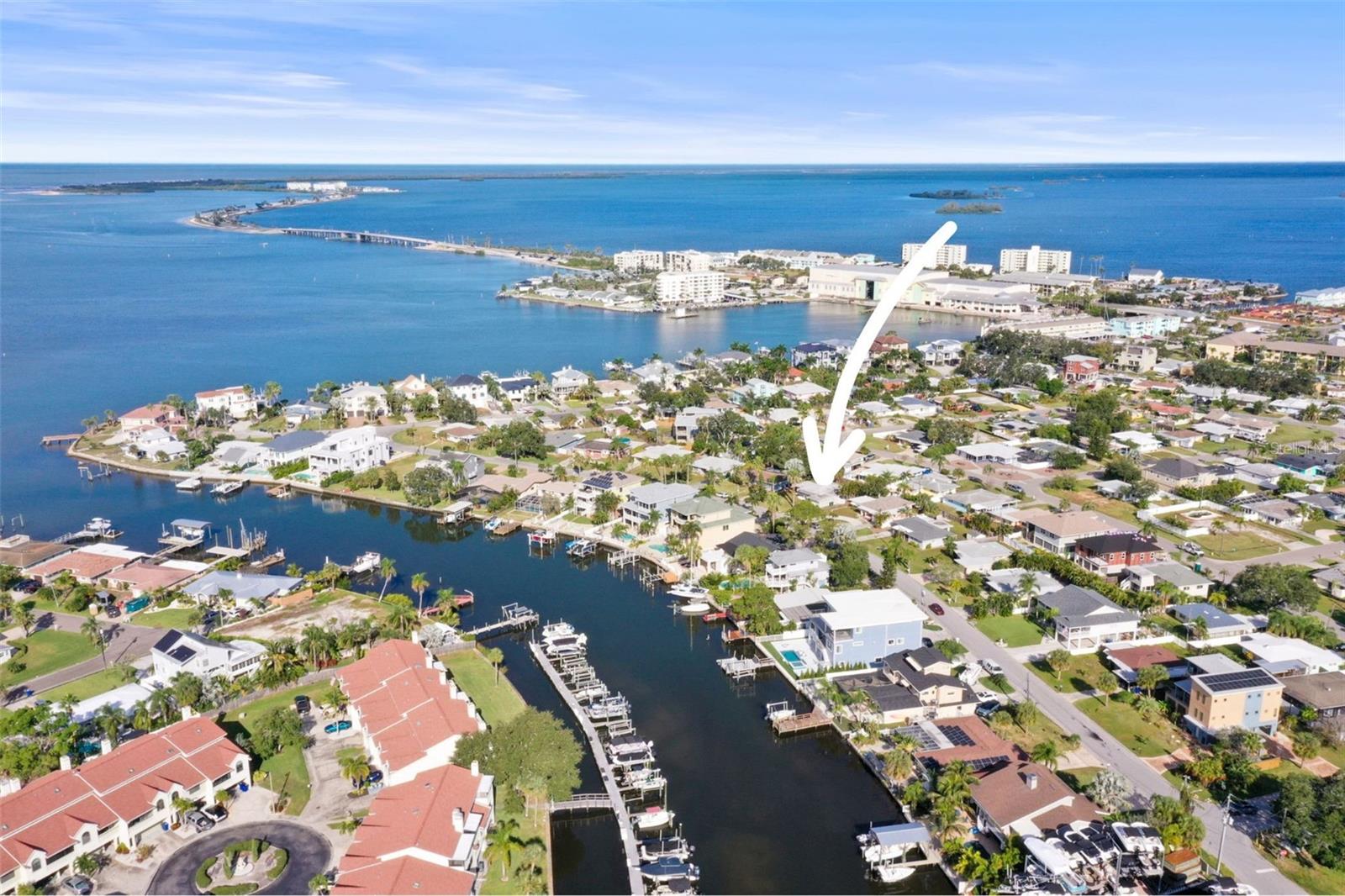 Perfect Dunedin location