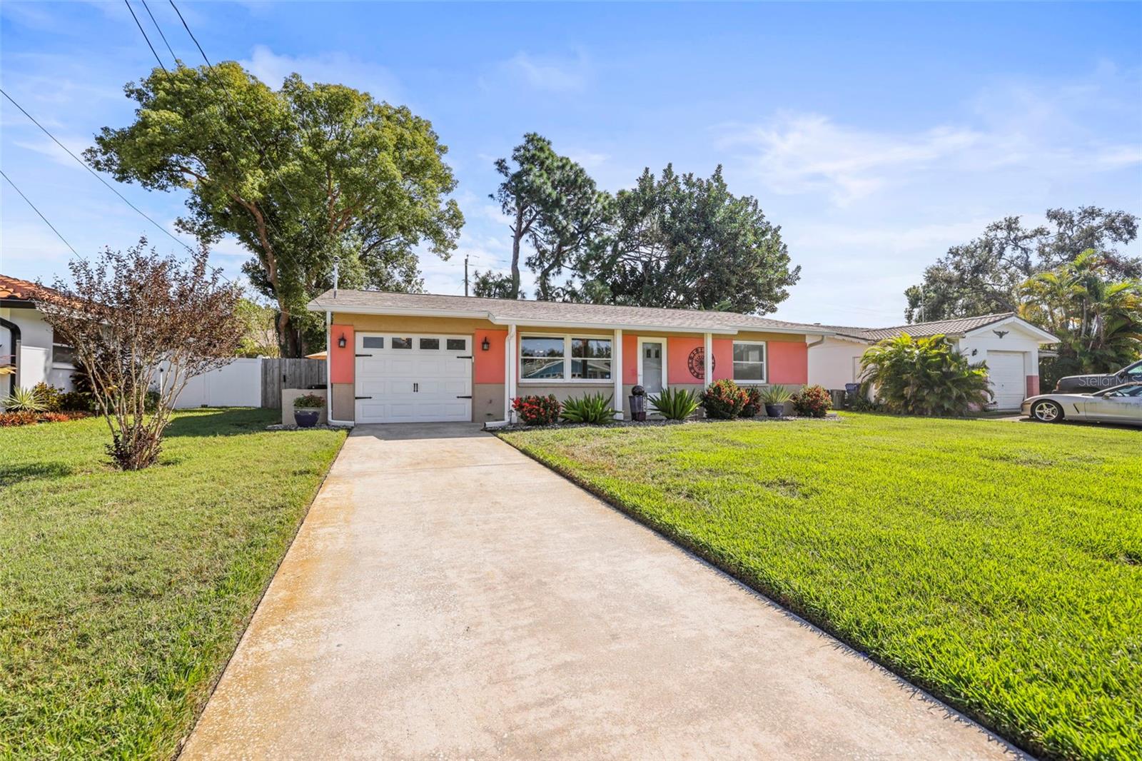 SUPER CUTE - NEW ROOF