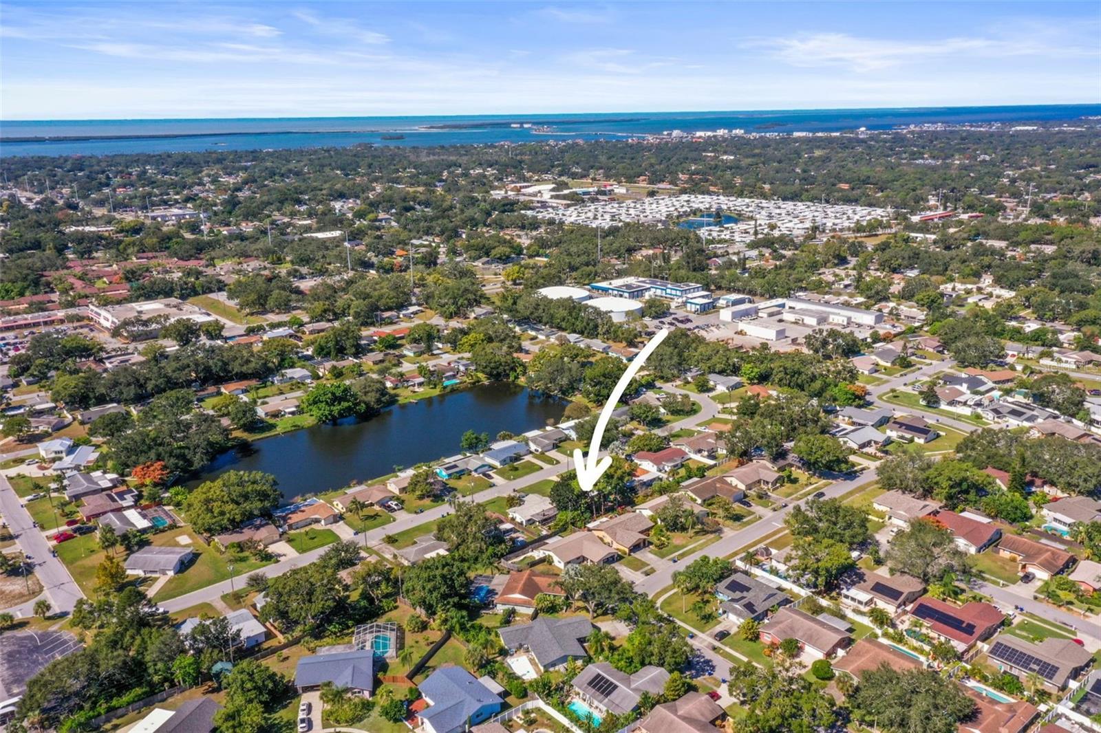 Location - Heart of Dunedin - Golf Cart Friendly