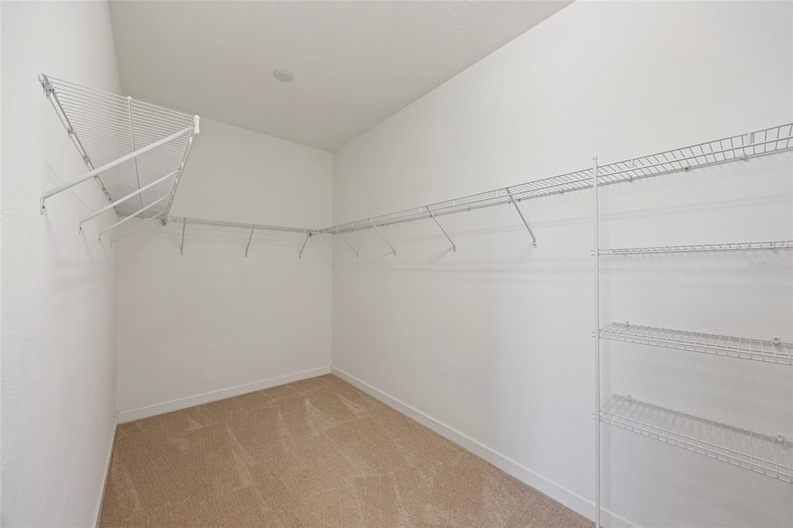Walk-in Primary Bedroom Closet