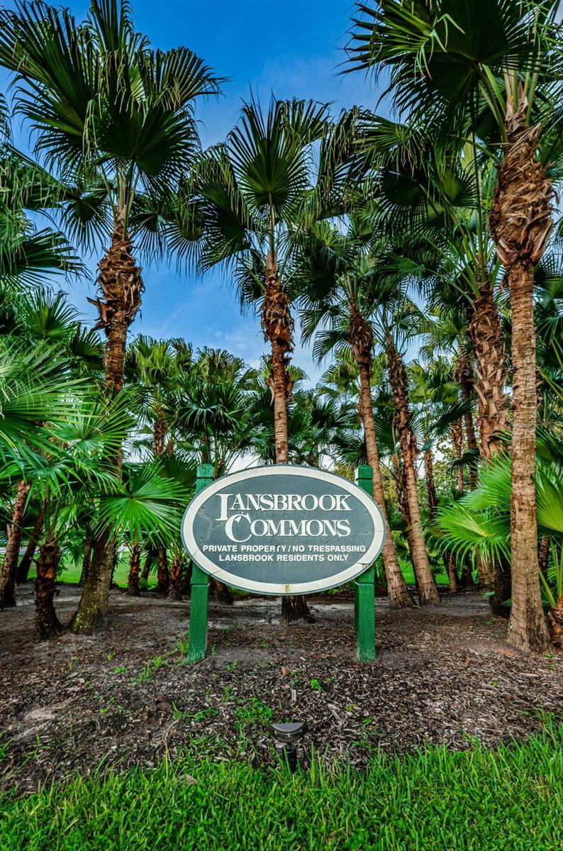 Lansbrook Commons Park