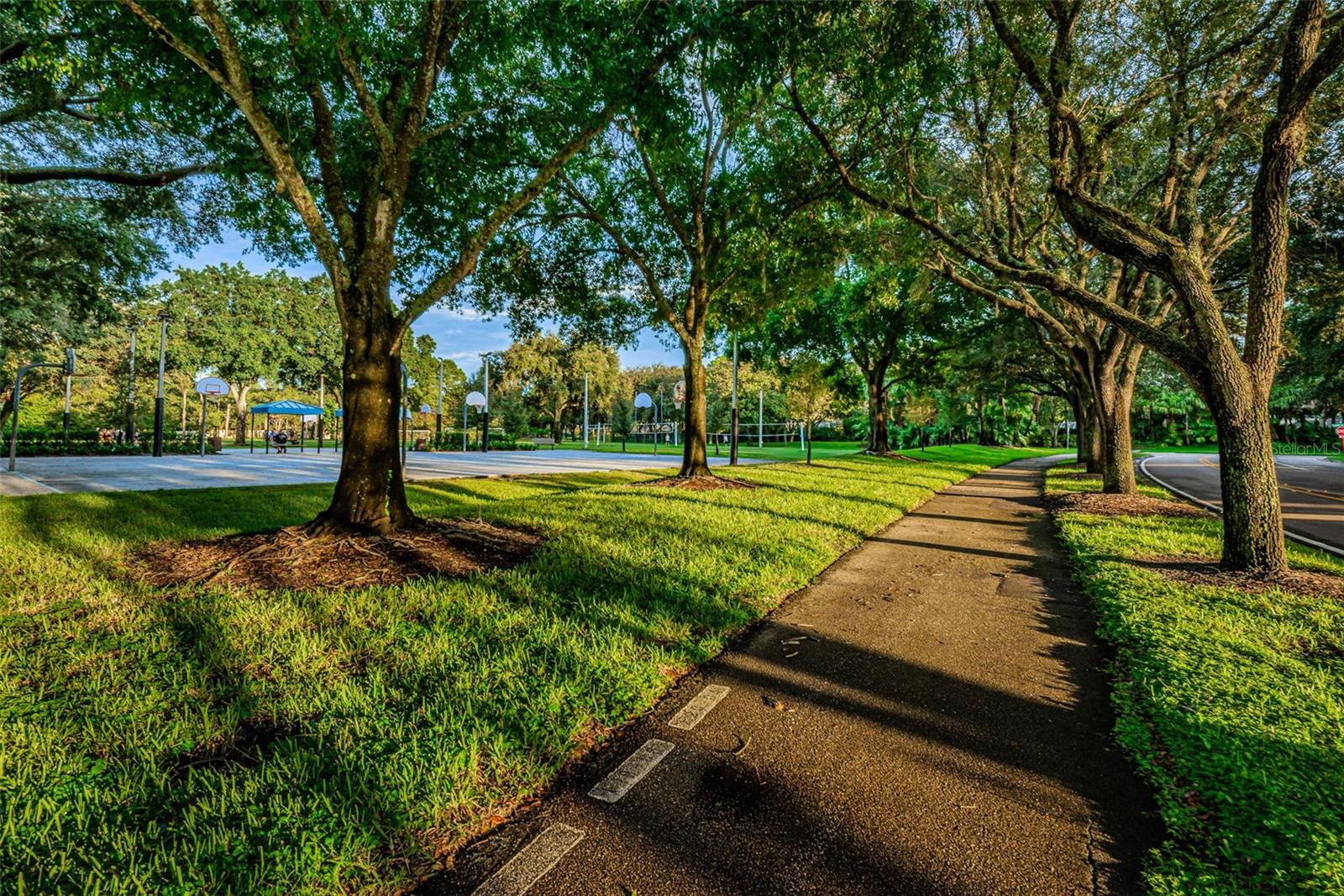 Lansbrook Commons Park w/basketball court, pickleball court & volleyball court