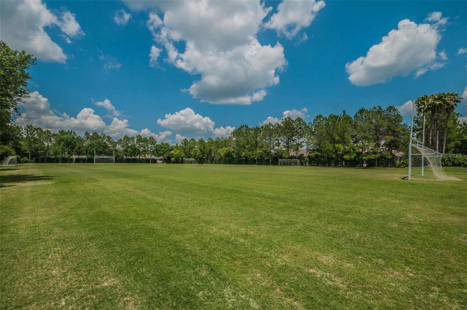 Lansbrook Commons Park soccer field