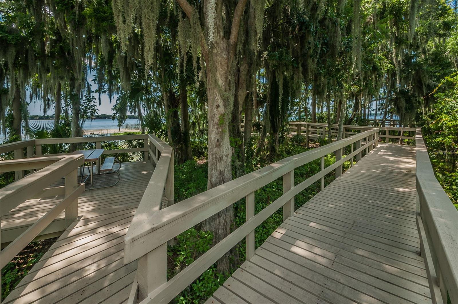 Lansbrook Lakefront Park picnic tables next to Lake Tarpon