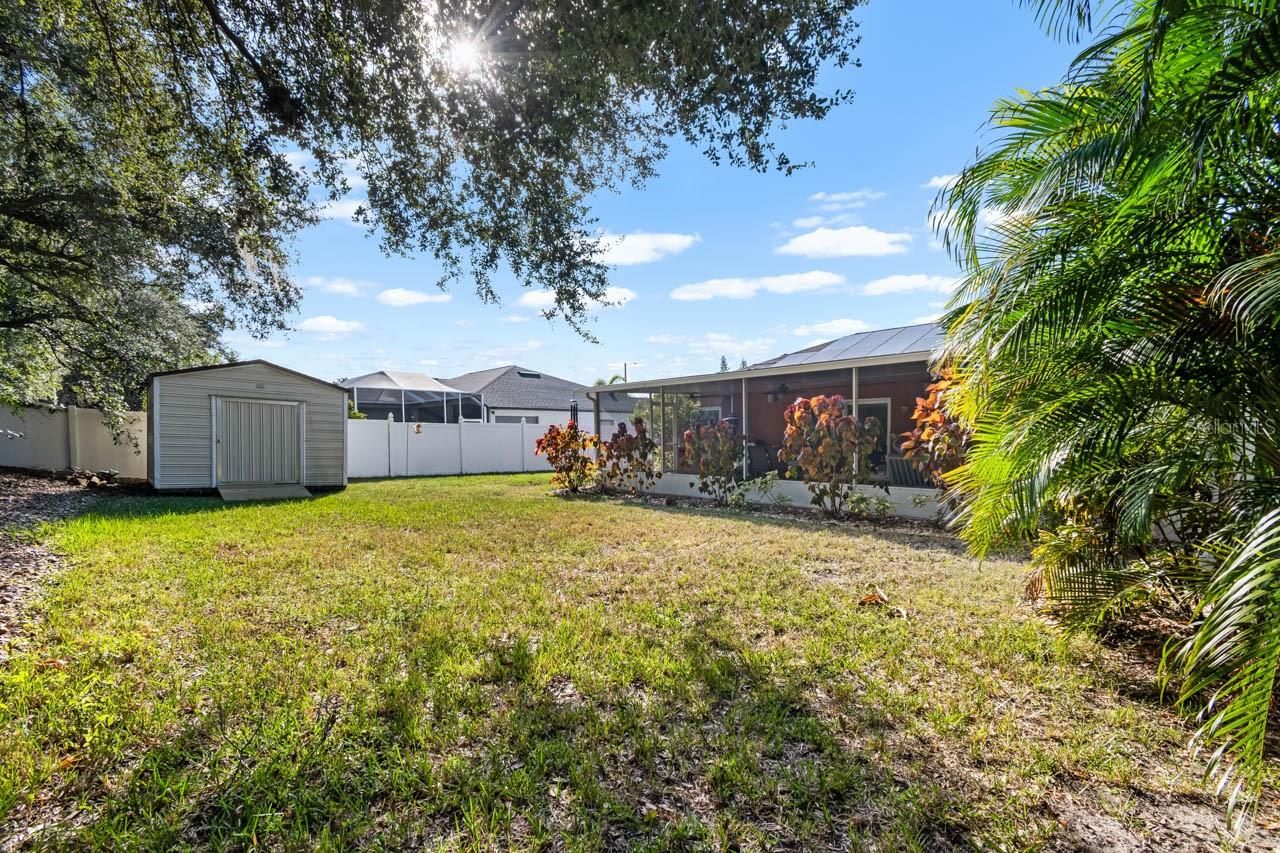 Back yard and shed