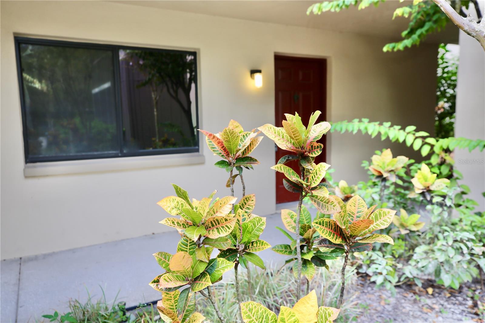 Front door - Unit #B