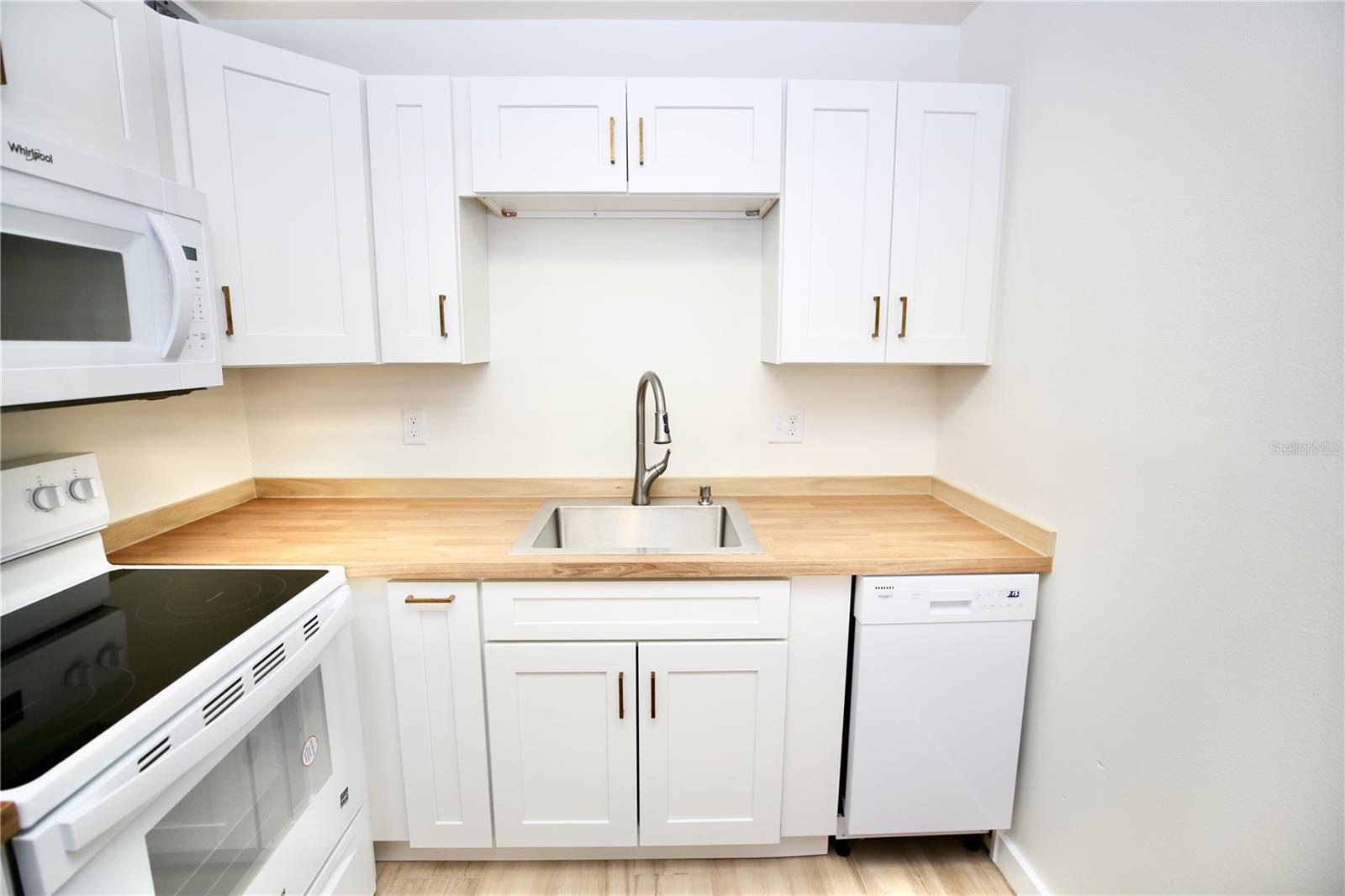 Kitchen Sink and Dishwasher