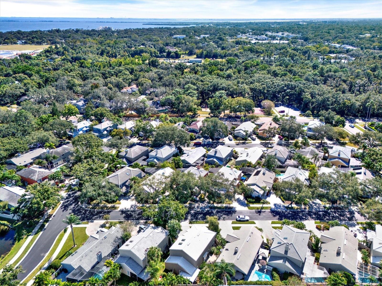 Georgetown East - The Best Community in Safety Harbor!