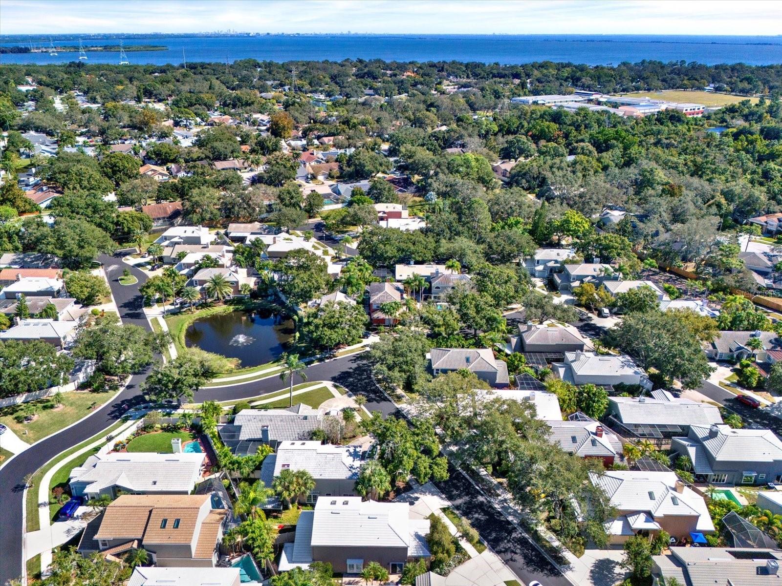 Georgetown East - The Best Community in Safety Harbor!