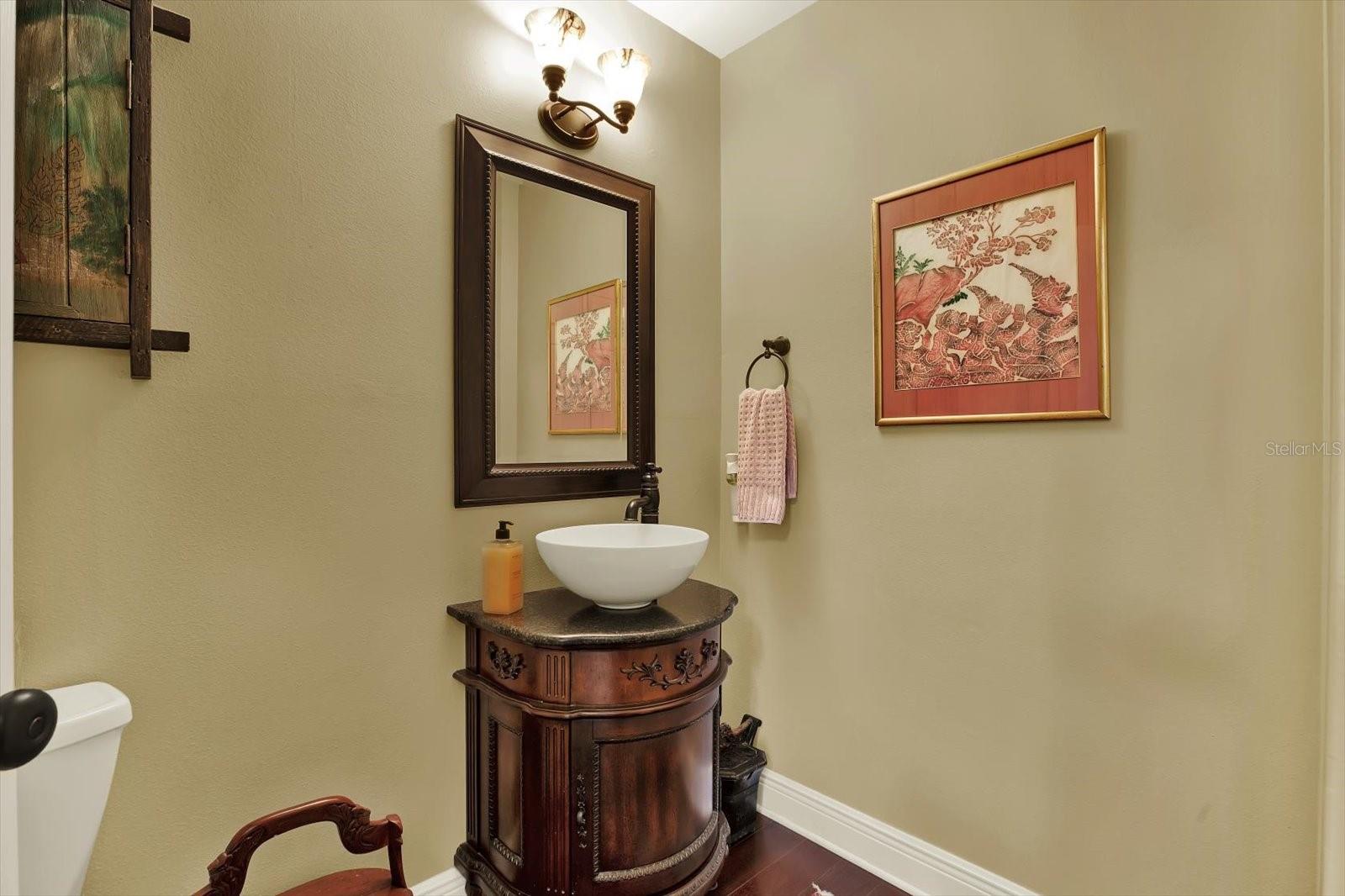 Guest Bathroom downstairs