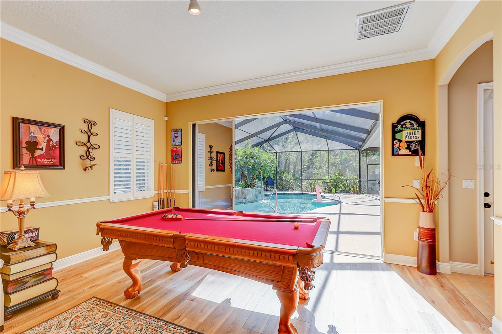 bedroom 4/media room/flexible room